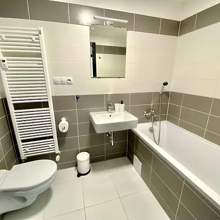 Two-room With Garage In The Center プルゼニ
